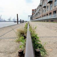 544_4388 Altonaer Hafen - Schienen des Hafenkrans in Neumühlen. | Neumuehlen - Strasse am Hafenrand von Hamburg Altona.